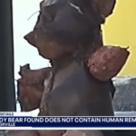 Scary teddy bear
